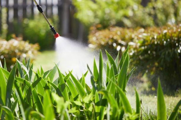 24/7 Emergency Mosquito Control experts in San Juan Capistrano, CA