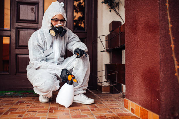 Reliable Mosquito Control contractor in San Juan Capistrano, CA by Show Me Pest Control