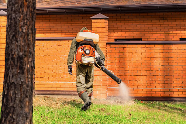 Top rated local Mosquito Control specialists in San Juan Capistrano, CA